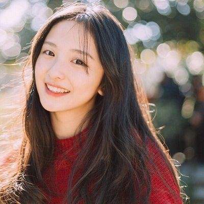 龙之法则官方版下载